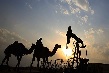 Thị trường trầm lắng, giá dầu tăng nhẹ sau thất vọng về thỏa thuận của OPEC